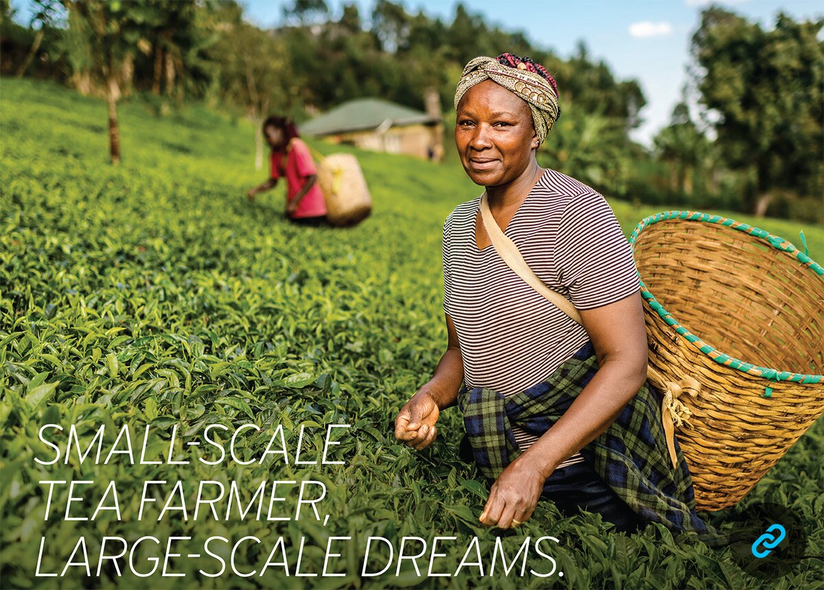 SMALL-SCALE TEA FARMER,LARGE-SCALE DREAMS