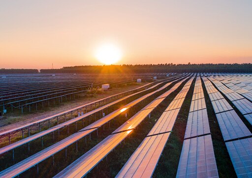Rows of solar panels at sunset