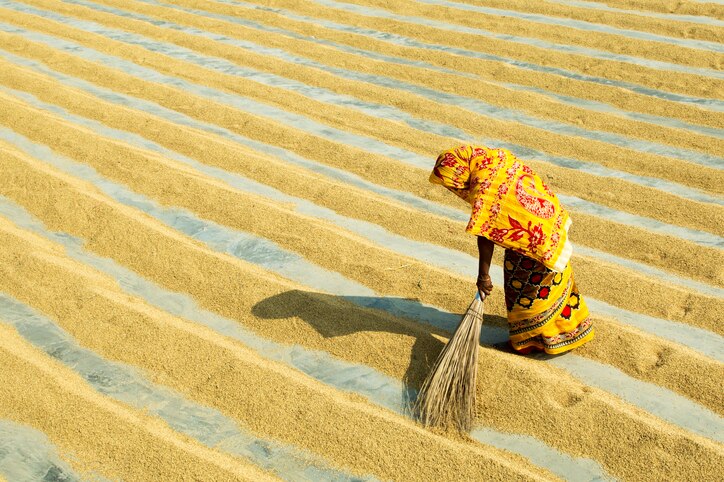 Expanding Access to Loans in Bangladesh 