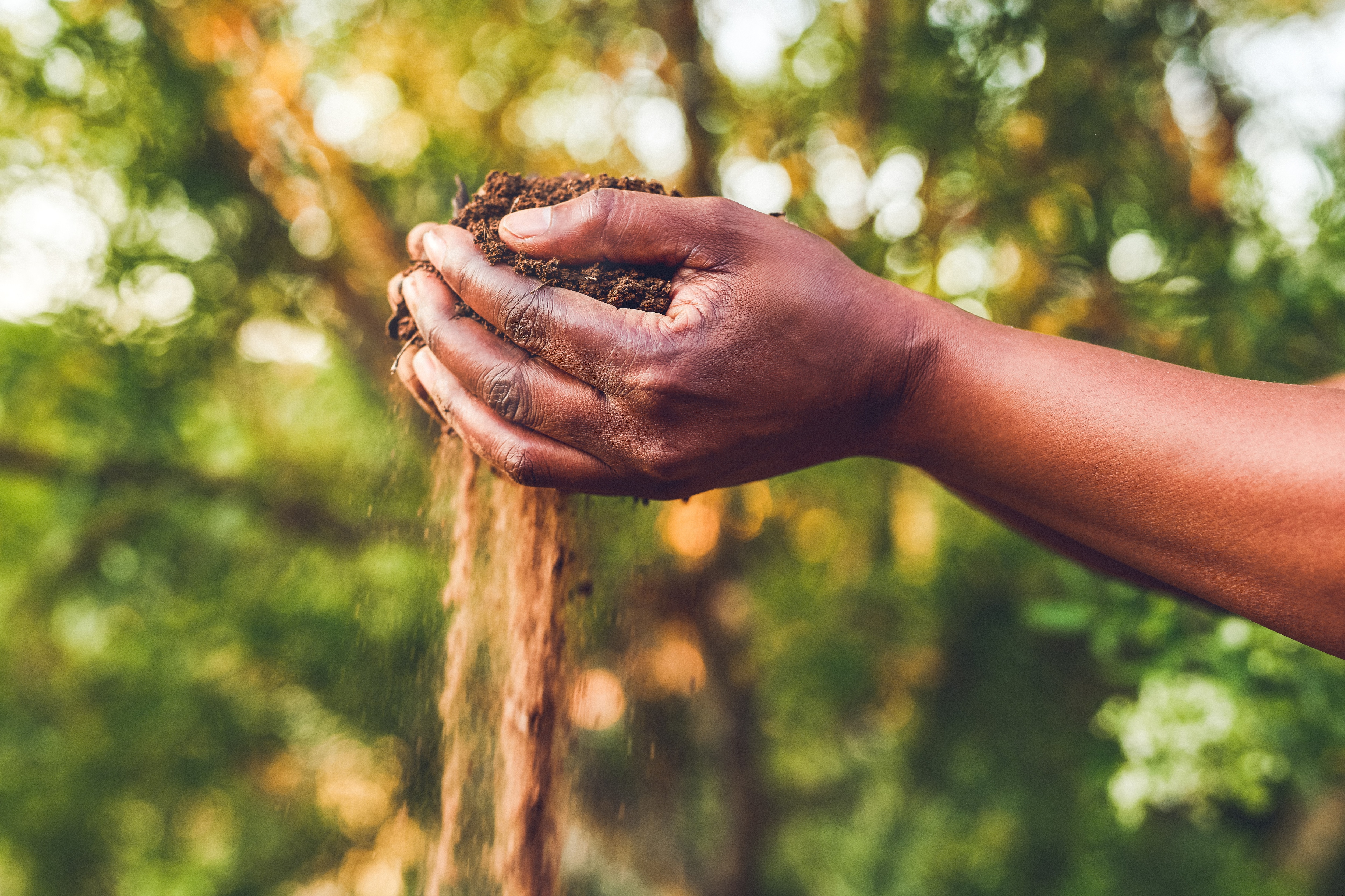 Enhancing Food Security for Smallholder Farmers